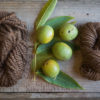 Natural dyes with Rebecca Burgess (photo by Paige Green)