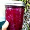 Fermented foods by Maggie and Phoebe